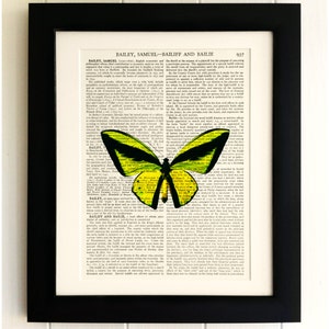 ART PRINT on old antique book page - Large Yellow Butterfly, Vintage Upcycled Wall Art Print, Encyclopaedia Dictionary Page, Fab Gift!