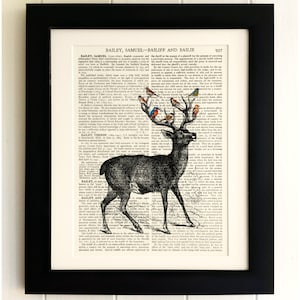 ART PRINT on old antique book page - Deer, Stag, Birds, Vintage Upcycled Wall Art Print, Encyclopaedia Dictionary Page, Fab Gift!