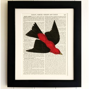 ART PRINT on old antique book page - Vintage Bird, Vintage Upcycled Wall Art Print, Encyclopaedia Dictionary Page, Fab Gift!