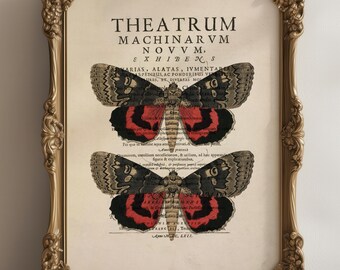 Vintage Style Butterfly Print, Book Page, A4, Fabulous vintage wall art