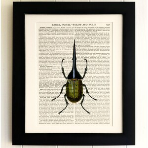 ART PRINT on old antique book page - Beetle, Vintage Upcycled Wall Art Print, Encyclopaedia Dictionary Page, Fab Gift!