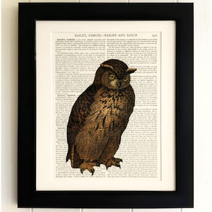 ART PRINT on old antique book page - Owl, Vintage Upcycled Wall Art Print, Encyclopaedia Dictionary Page, Fab Gift!