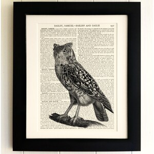 ART PRINT on old antique book page - Owl, Vintage Upcycled Wall Art Print, Encyclopaedia Dictionary Page, Fab Gift!