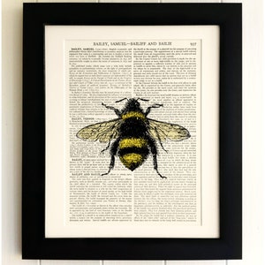 ART PRINT on old antique book page - Bumble Bee, Insect, Vintage Upcycled Wall Art Print, Encyclopaedia Dictionary Page, Fab Gift!