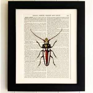 ART PRINT on old antique book page - Insect, Beetle, Vintage Upcycled Wall Art Print, Encyclopaedia Dictionary Page, Fab Gift!