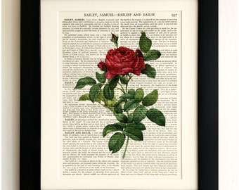 ART PRINT on old antique book page - Red Rose, Botanical, Flower, Vintage Upcycled Wall Art Print, Encyclopaedia Dictionary Page