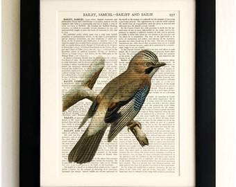 ART PRINT on old antique book page - Vintage Bird, Vintage Upcycled Wall Art Print, Encyclopaedia Dictionary Page, Fab Gift!