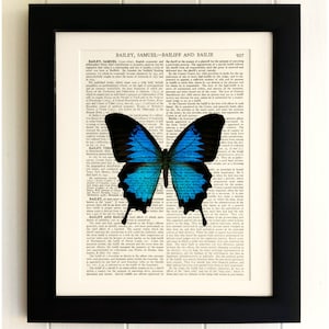 Könnte beinhalten: Ein blauer und schwarzer Schmetterling mit weißem Rand ist auf einer Seite eines alten Buches abgebildet. Der Text auf der Seite handelt von der Geschichte des Gerichtsvollziehers und des Gerichtsbezirks.