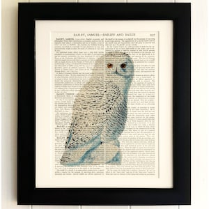 Kunstdruck auf alt antik-Buch-Seite - Eule, Vintage Upcycled Wand Kunstdruck, Lexikon Wörterbuchseite, Fab Geschenk!