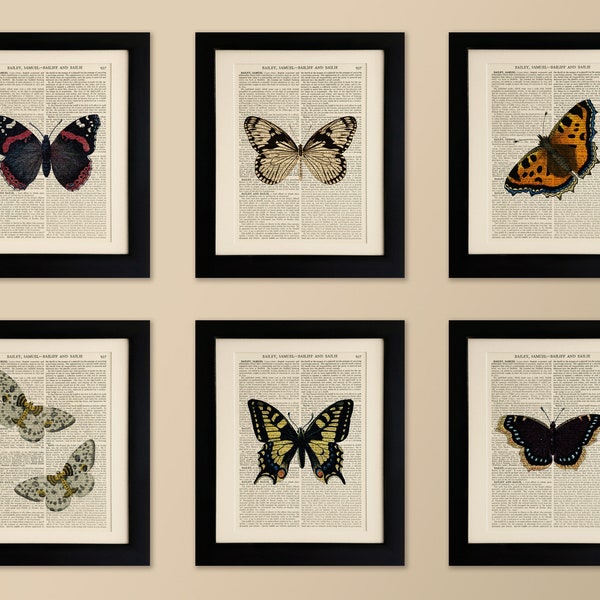 Set of 6 Art Prints on old antique book page - Butterflies, Vintage Wall Art Print Encyclopaedia Dictionary Page