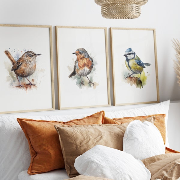 Set of 3 Watercolour Garden Birds Prints, Wren, Robin, Blue Tit, Bedroom, Living Room, Unframed