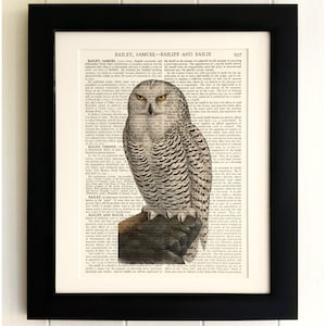 ART PRINT on old antique book page - Owl, Vintage Upcycled Wall Art Print, Encyclopaedia Dictionary Page, Fab Gift!