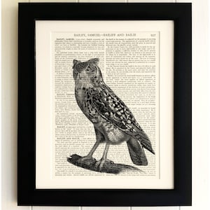 ART PRINT on old antique book page - Owl, Vintage Upcycled Wall Art Print, Encyclopaedia Dictionary Page, Fab Gift!