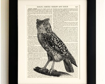 ART PRINT on old antique book page - Owl, Vintage Upcycled Wall Art Print, Encyclopaedia Dictionary Page, Fab Gift!