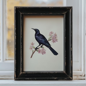 May include: A framed print showing a black bird on a branch with pink flowers. The bird is detailed against a cream backdrop. The black frame has a distressed finish, giving it a vintage look. The print is displayed on a windowsill.