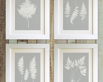 SET OF 4 Fern Prints, 5"x7" *UNFRAMED*  Dove Grey, Fab Picture Gift