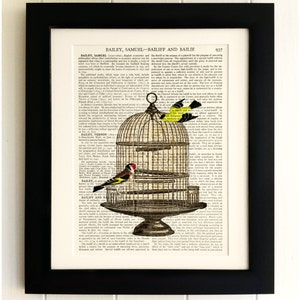 ART PRINT on old antique book page - Round Bird Cage, Vintage Upcycled Wall Art Print, Encyclopaedia Dictionary Page, Fab Gift!