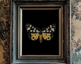 Butterfly/Moth Print, Black Background, 10"x8", *UNFRAMED* Fabulous vintage wall art