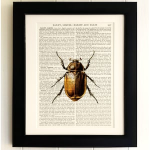 ART PRINT on old antique book page - Insect, Brown Beetle, Vintage Upcycled Wall Art Print, Encyclopaedia Dictionary Page, Fab Gift!