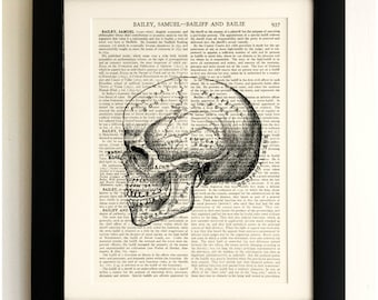 ART PRINT on old antique book page - Human Skull, Vintage Upcycled Wall Art Print, Encyclopaedia Dictionary Page, Fab Gift!