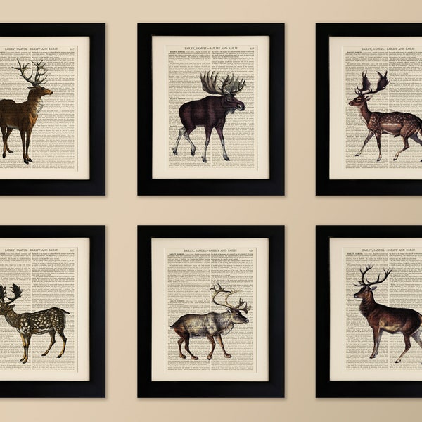 Set of 6 Art Prints on old antique book page - Deer/Stag, Vintage Wall Art Print Encyclopaedia Dictionary Page