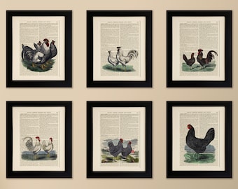 Set of 6 Art Prints on old antique book page - Chickens, Vintage Wall Art Print Encyclopaedia Dictionary Page