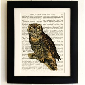 ART PRINT on old antique book page - Owl, Vintage Upcycled Wall Art Print, Encyclopaedia Dictionary Page, Fab Gift!