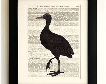 ART PRINT on old antique book page - Vintage Bird, Vintage Upcycled Wall Art Print, Encyclopaedia Dictionary Page, Fab Gift!