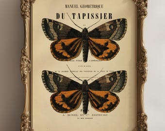Vintage Style Butterfly Print, Book Page, A4, Fabulous vintage wall art
