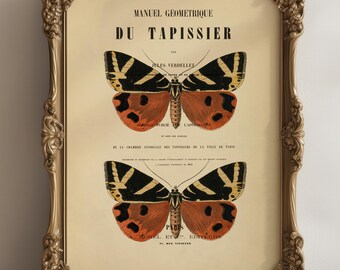 Vintage Style Butterfly Print, Book Page, A4, Fabulous vintage wall art