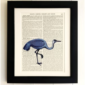 ART PRINT on old antique book page - Vintage Bird, Vintage Upcycled Wall Art Print, Encyclopaedia Dictionary Page, Fab Gift!