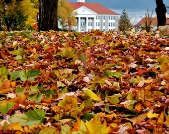 James Madison University, Wilson Hall, Fall, The Quad, JMU, Photography