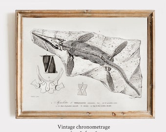 Dinosaurus fossiele print | Vintage biologie kunst aan de muur | Dinosaurus kunst aan de muur | Licht Academia Esthetiek | Paleontologie Tekening | AFDRUKBAAR #066