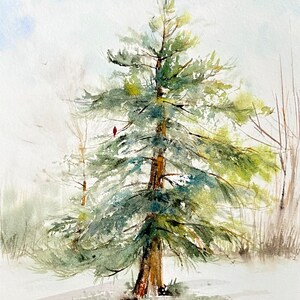 May include: Watercolour painting of a tall green pine tree with a red cardinal perched on a branch. The tree is set against a light blue sky with a few white clouds. The ground is covered in white snow.