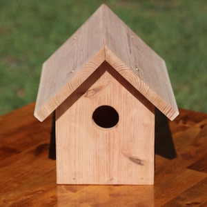 Cedar Birdhouse with Clear Sides, Removeable Roof