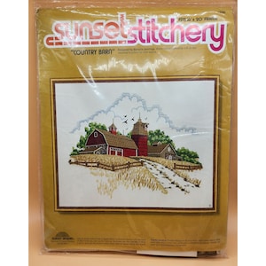 Kit De Broderie Créative Paragon Dells Mill - Modèle #0317 Pour Cadre 16x20 Pouces