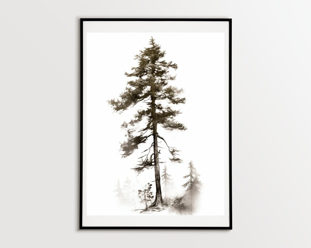 Digital Pine Tree Art Pine Tree Drawing Pine Tree Print Etsy