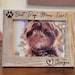 see more listings in the Pet Frames section