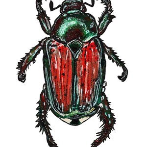 Falene/coleotteri 6"x8" (A5) set di stampa d'arte digitale in edizione limitata - serie di 5