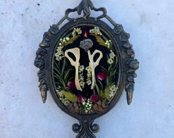 Rat Pelvics Framed Floral