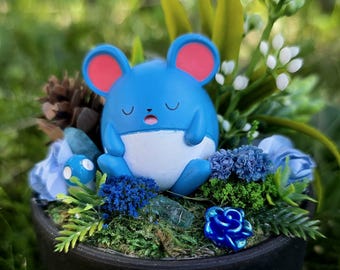 Marill Terrarium