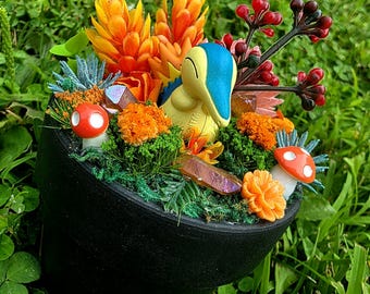 Cindaquil Terrarium