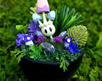 Morelull Terrarium
