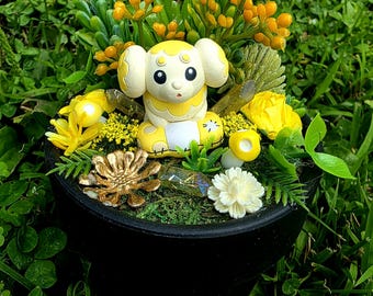 Fidough Terrarium