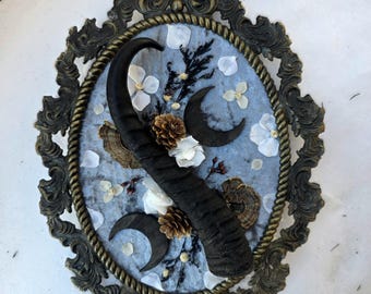 Springbok Horn Framed Floral