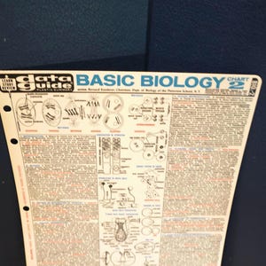 1060's Data guide, Basic 2 gender Biology, Educational Biology chart,