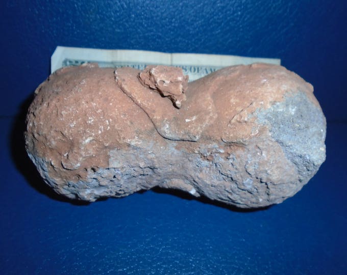 Double Geode. Texas Geodes. Geode. Geodes. Texas Geode Etsy