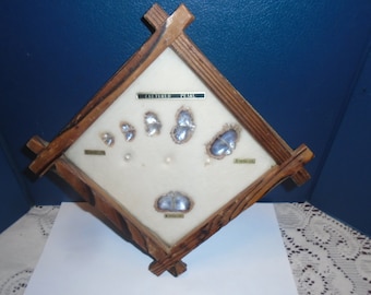 Vintage Asian Cultured Pearl display, 1 month to 6 months cultured pearl display