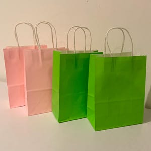 Pink or green Party bag / paper Party Bag / Children’s party bag / wicked Birthday / Kids wicked theme party bags
