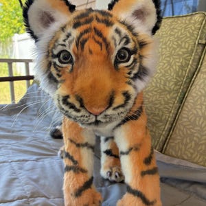 Puede incluir: Un juguete de peluche de cachorro de tigre con pelaje realista a rayas naranjas y negras, detalles blancos en la cara y las orejas, ojos grandes y oscuros y una nariz suave. El animal de peluche está de pie con bigotes visibles.